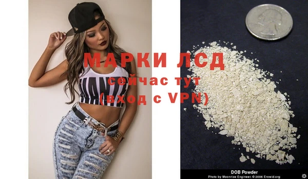 стафф Алзамай