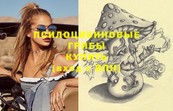 стафф Алзамай