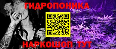 сатива Ирбит